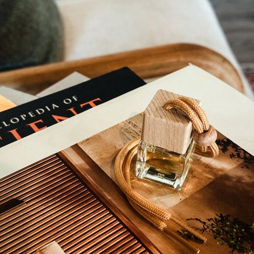 Sea Salt & Cactus Flower Car Diffuser